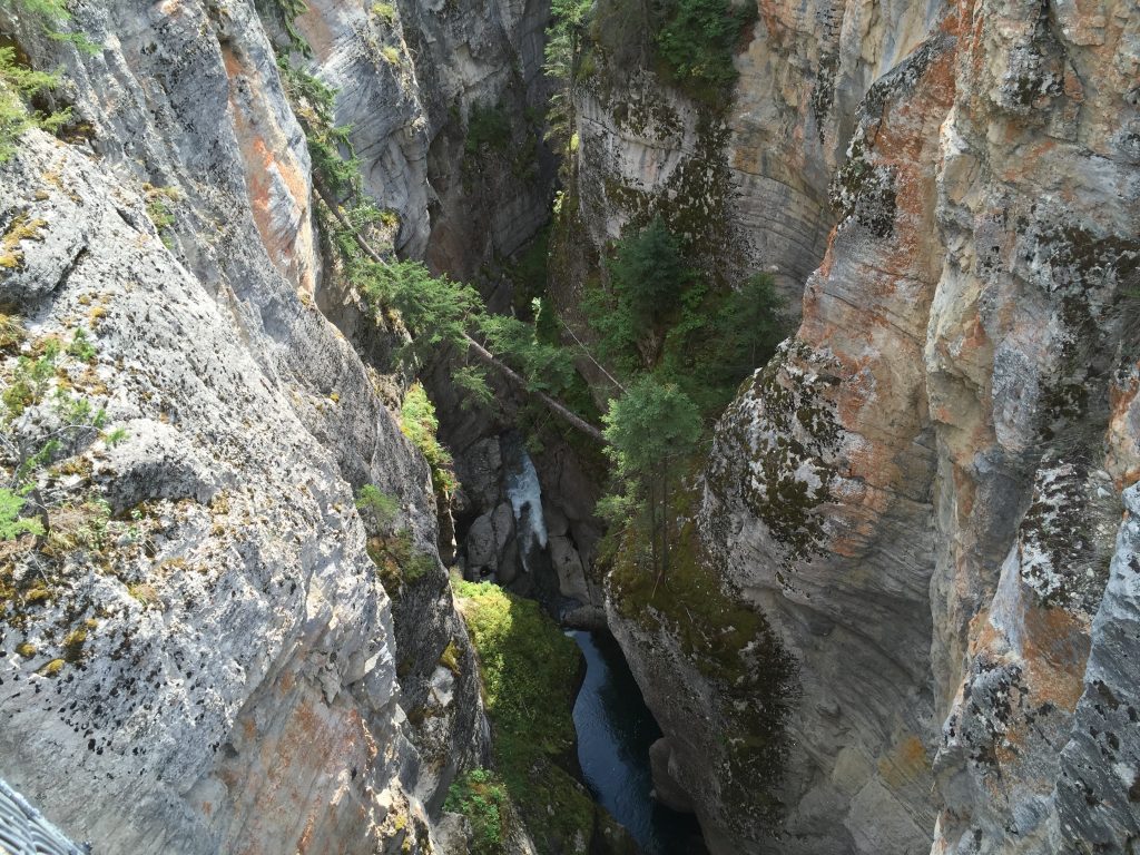 The Maligne Canyon